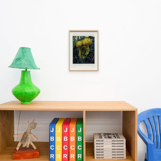 Mushroom Study (Suillus Americanus), 2021