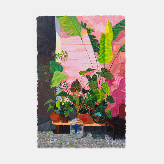 Sunset Nursery, 2024