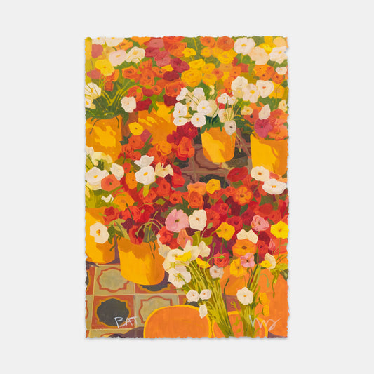 Sunset Nursery, 2024