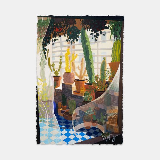 Sunset Nursery, 2024