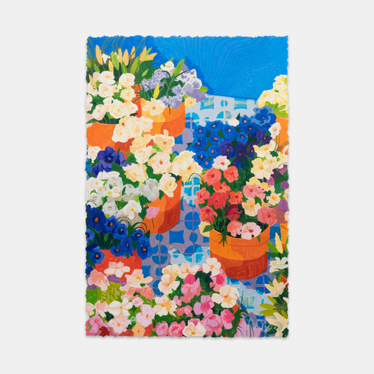 Sunset Nursery, 2024