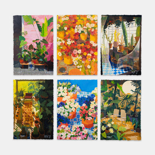 Sunset Nursery, 2024