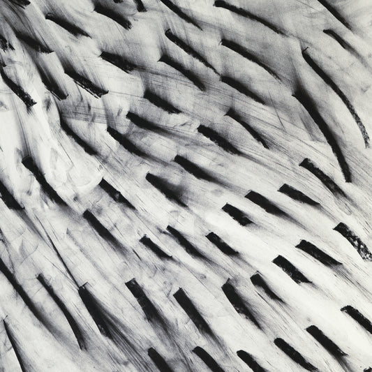 Untitled (Grid#10), 2018