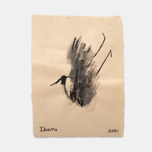 Fallen Peahen (female peacock), 2021