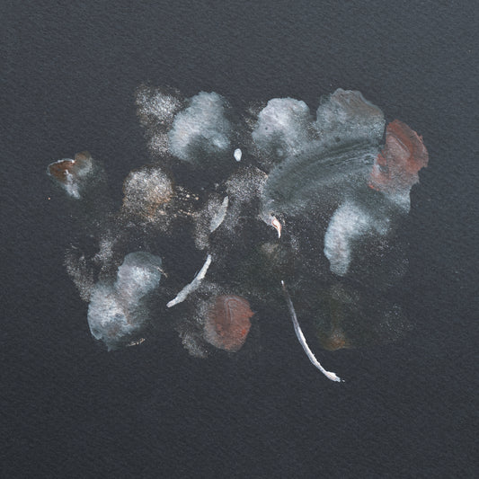 Potpourri Galaxy, 2023