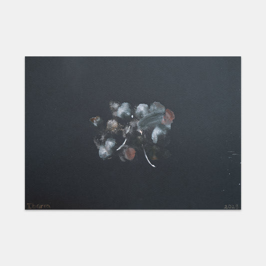 Potpourri Galaxy, 2023