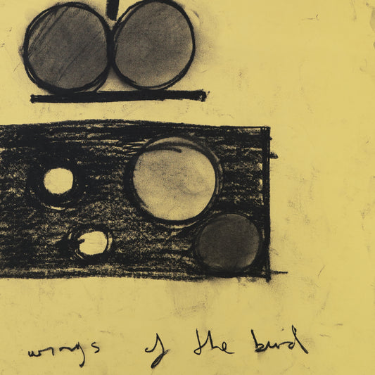 The wings of the bird are green, 2018