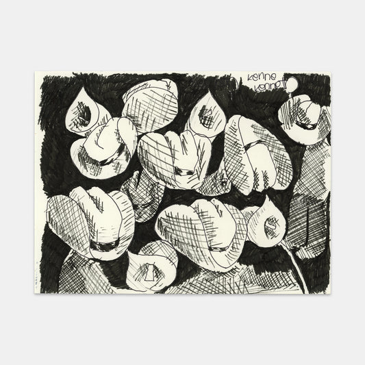 Hats and alcatraces, 2020