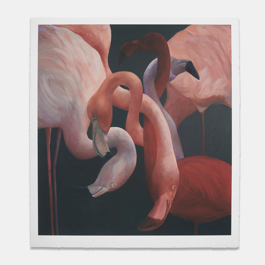 Flamingo Abstract, 2025