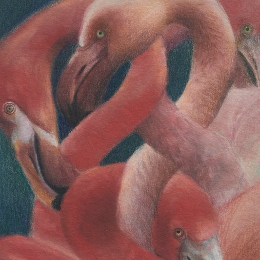 Flamingos On Blue, 2025