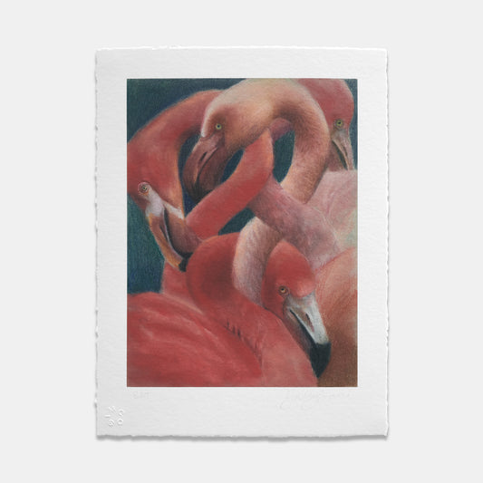 Flamingos On Blue, 2025