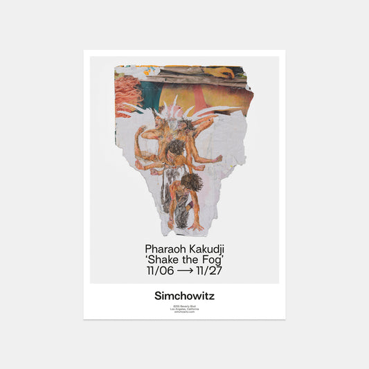 Shake the Fog, 2021 (Poster)